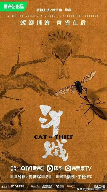 Cat & Thief cast: Johnny Huang, Li Xue Jian, Gao Chang Yuan. Cat & Thief Release Date: 2023. Cat & Thief Episodes: 30.